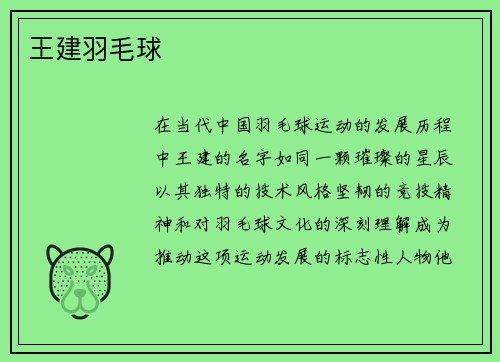 王建羽毛球