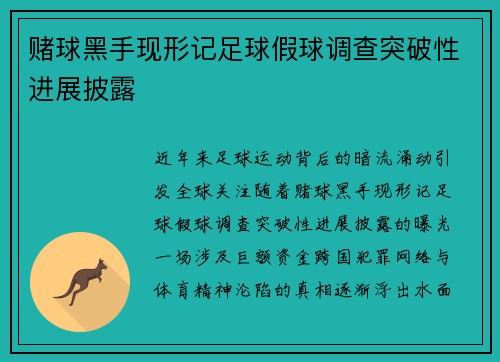 赌球黑手现形记足球假球调查突破性进展披露